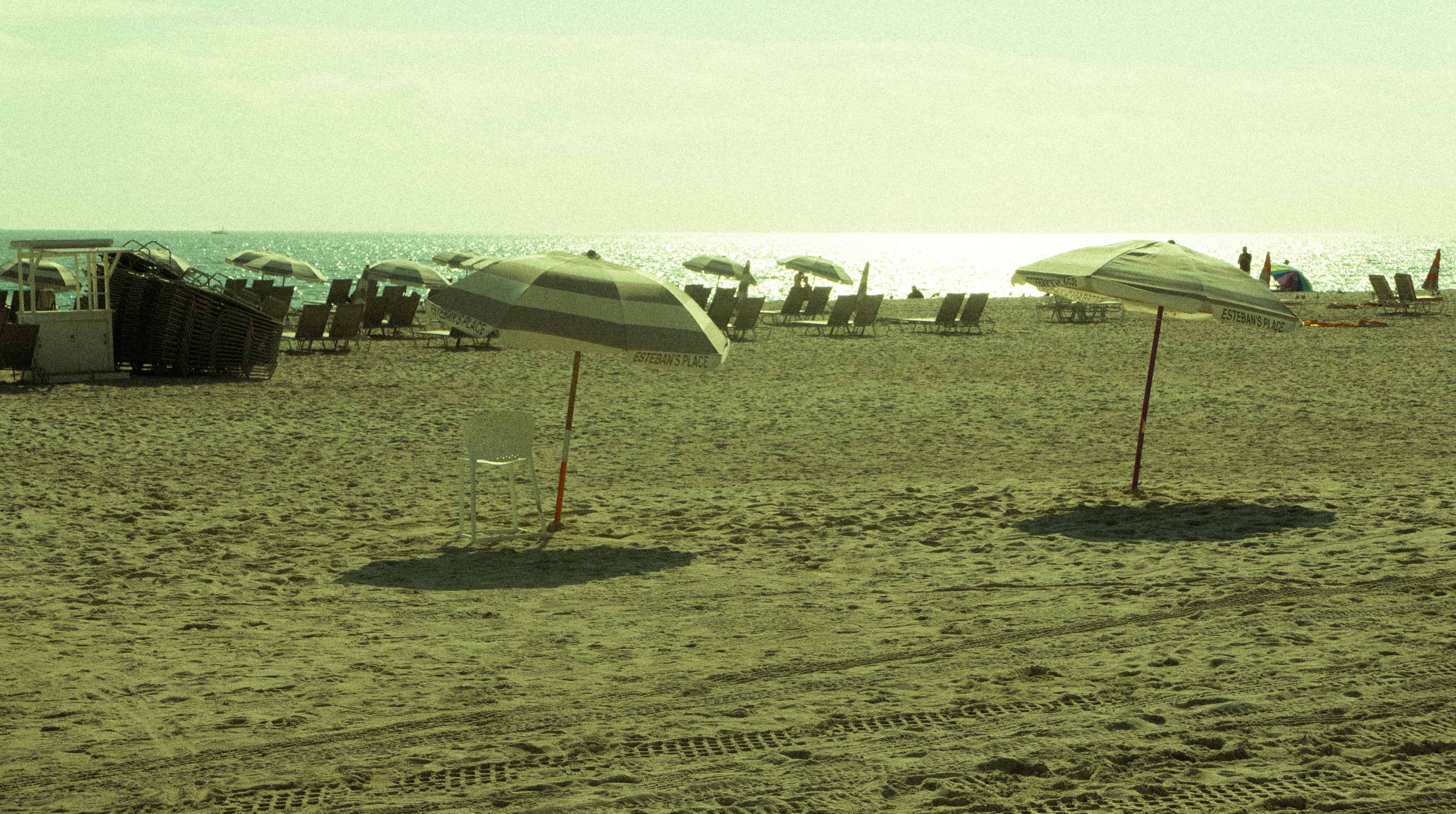 Beach umbrellas and leisure setup